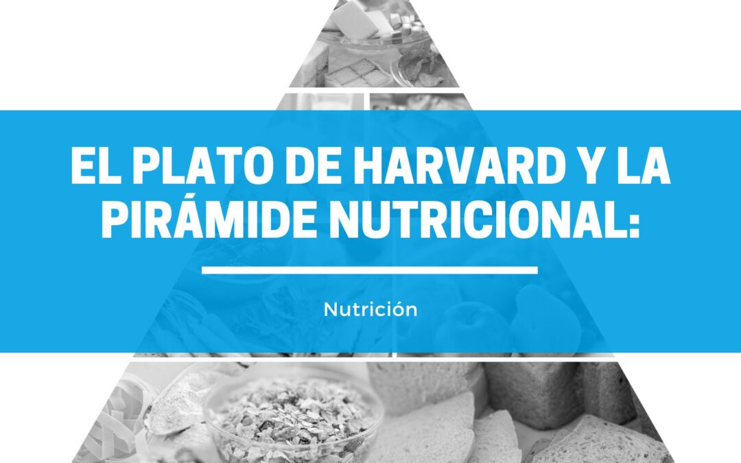 El Plato de Harvard y la Pirámide Nutricional: